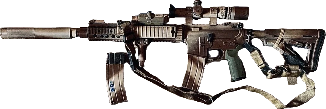 Основное оружие сборки — MK.12 TM